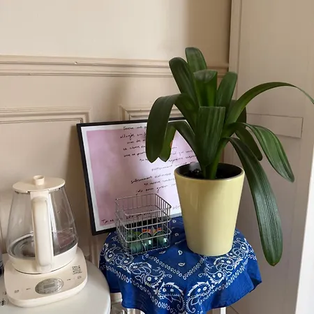 Live Like A Local Cosy And Calm 37sqm Parisian Style * Parigi
